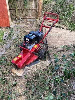 Our team are experts at stump grinding