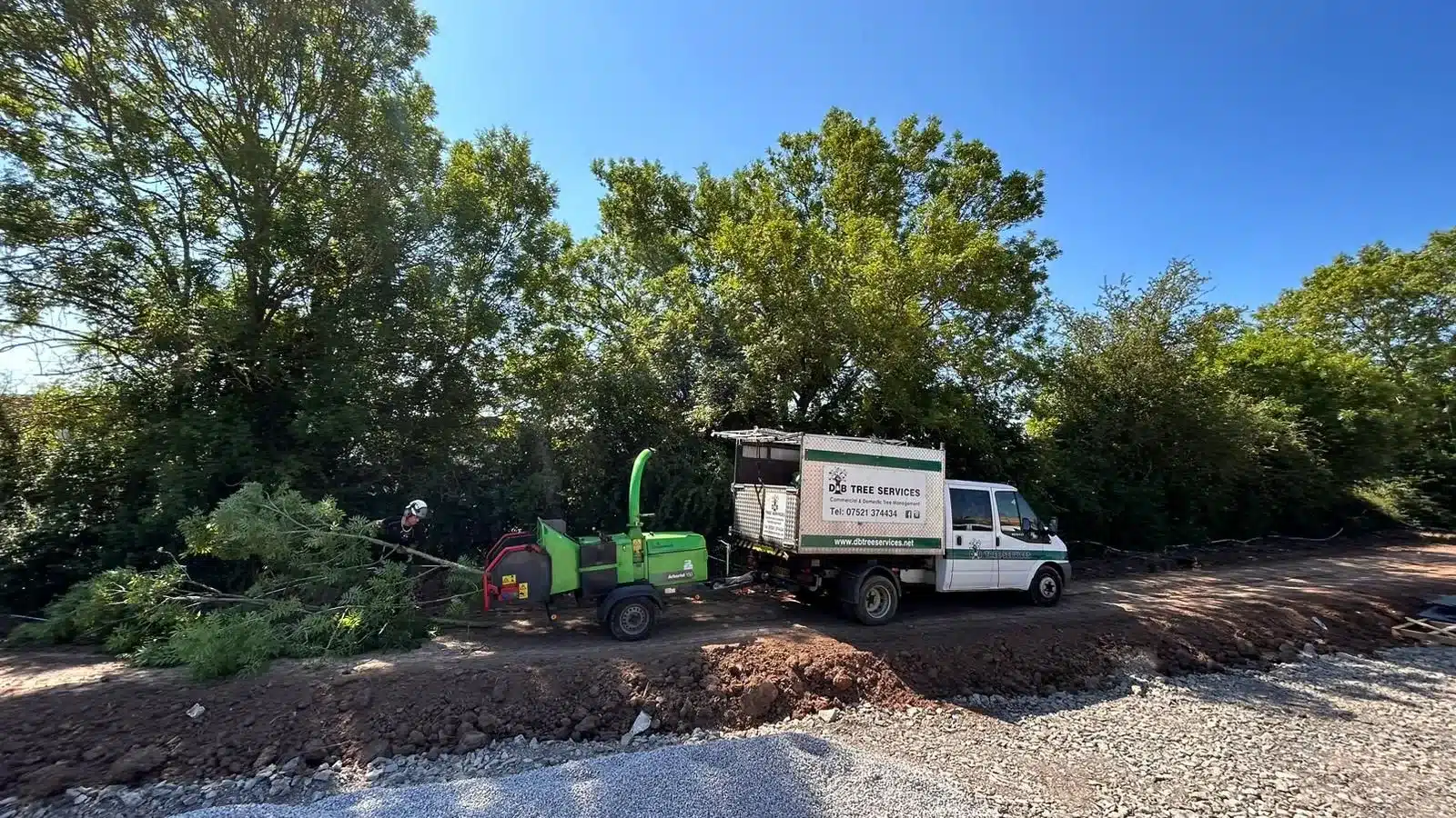 Commercial tree removal services chepstow