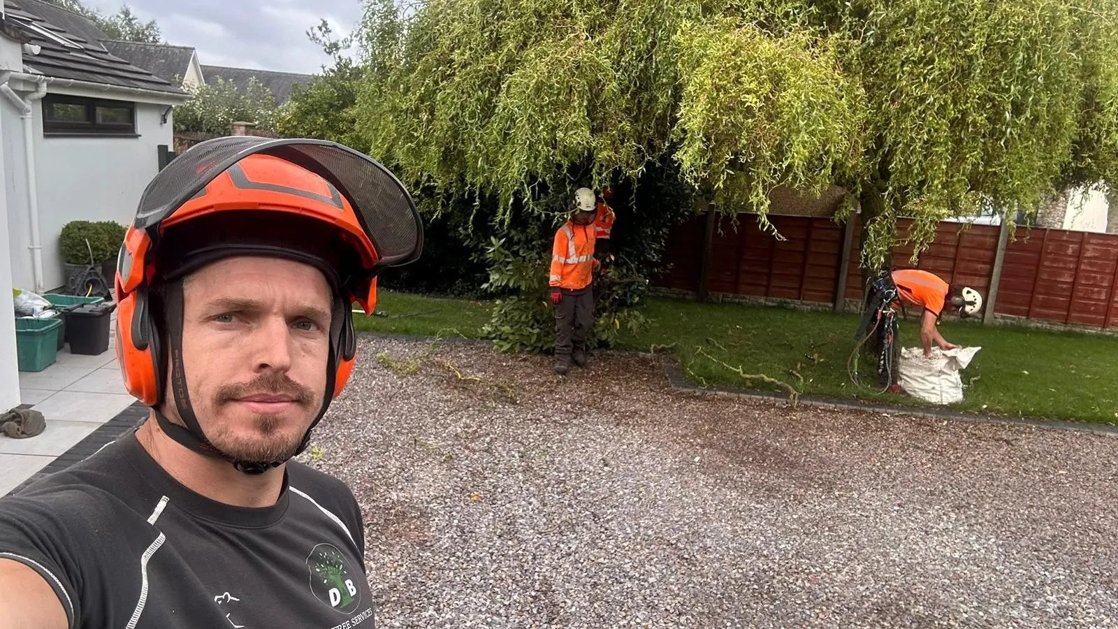 tree crown reduction chepstow
